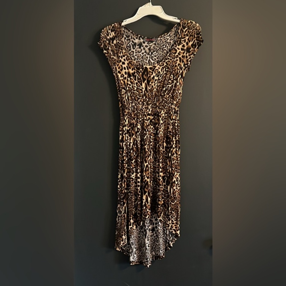 Body Central Leopard Print Dress Size S
